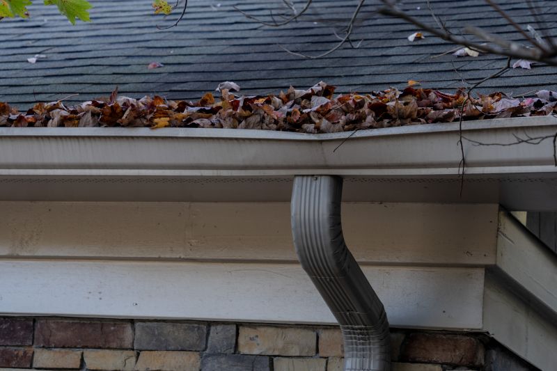 Clogged Gutters